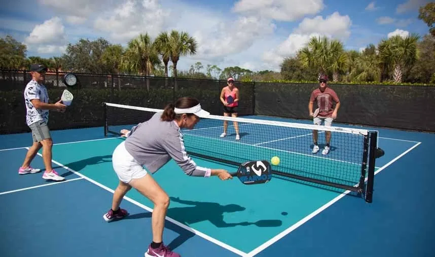 Ảnh đại diện bài Pickleball là gì? Hiểu môn chơi, sân và dụng cụ cơ bản